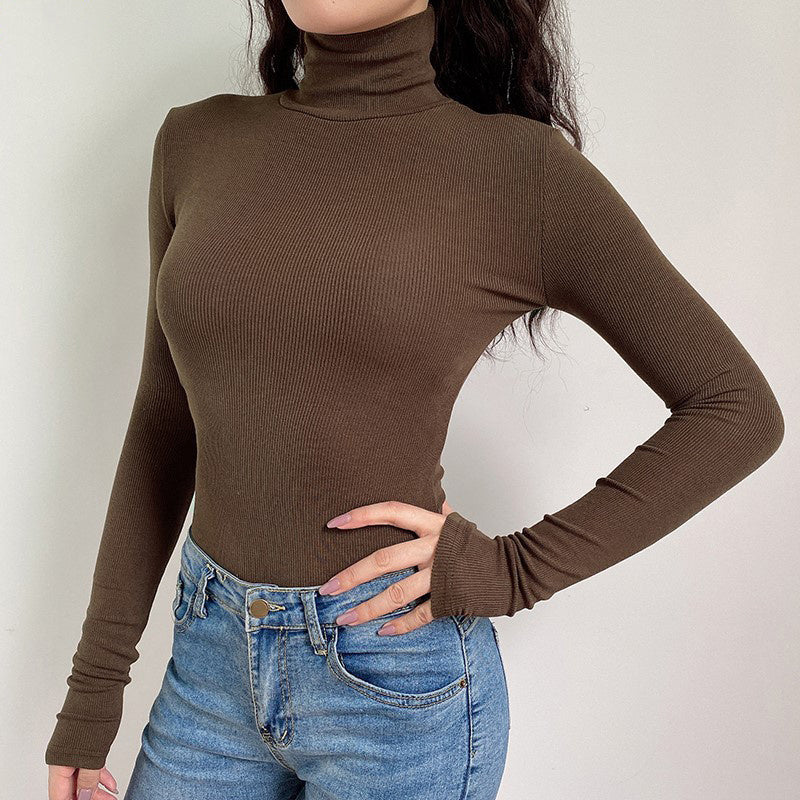 Turtleneck Knit Sweater